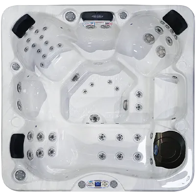 Avalon EC-849L hot tubs for sale in Syracuse