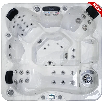 Avalon-X EC-849LX hot tubs for sale in Syracuse