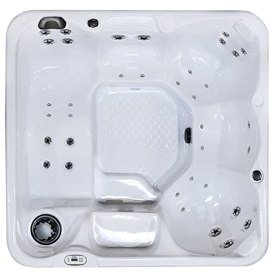 Hawaiian PZ-636L hot tubs for sale in Syracuse